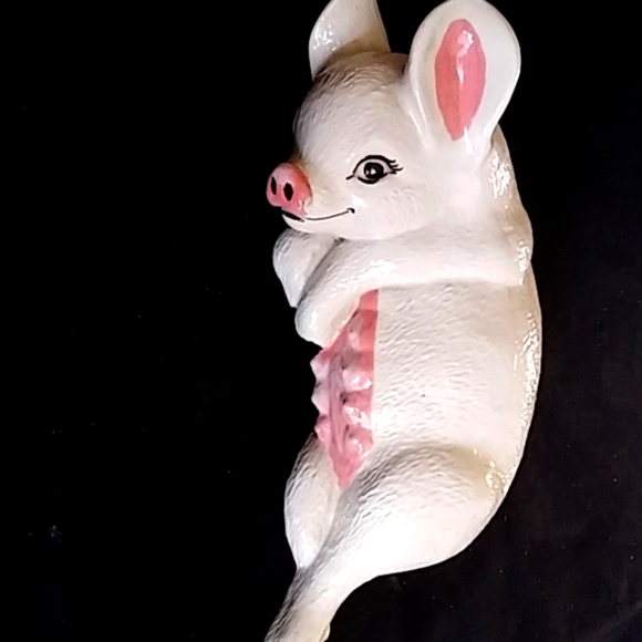 Pig - Picture 1 of 4